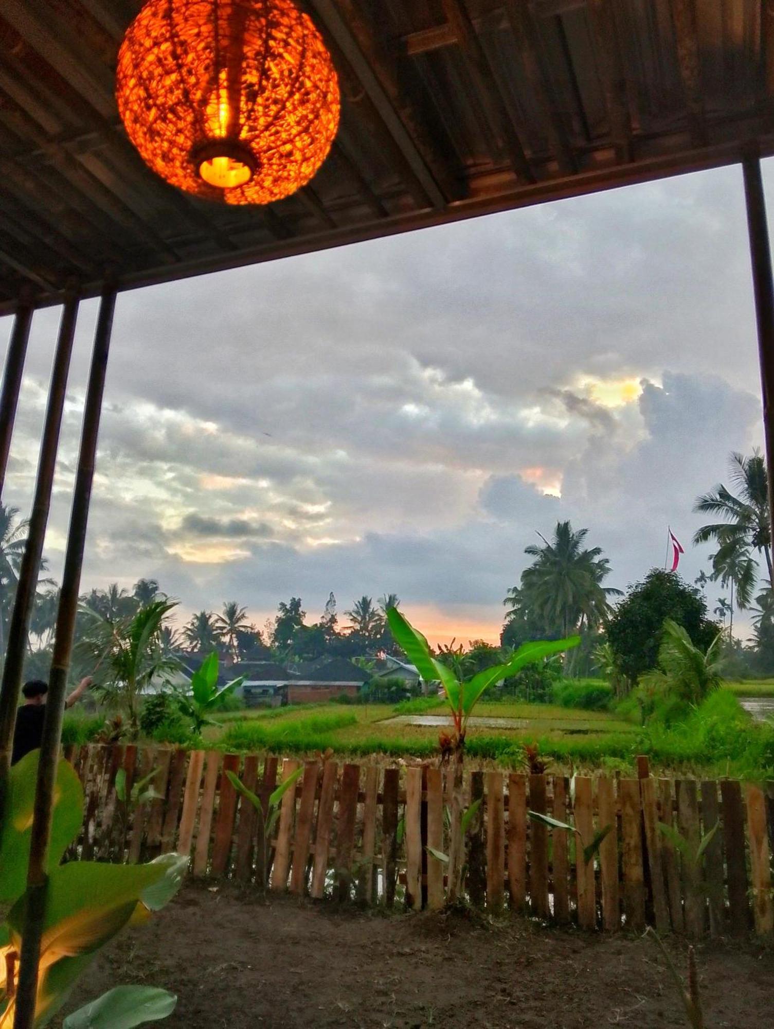 Alfarizi Homestay Tetebatu Luaran gambar