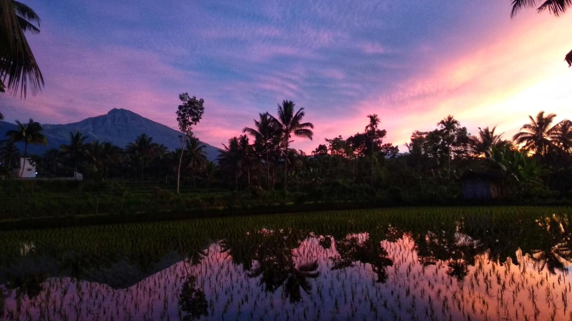 Alfarizi Homestay Tetebatu Luaran gambar