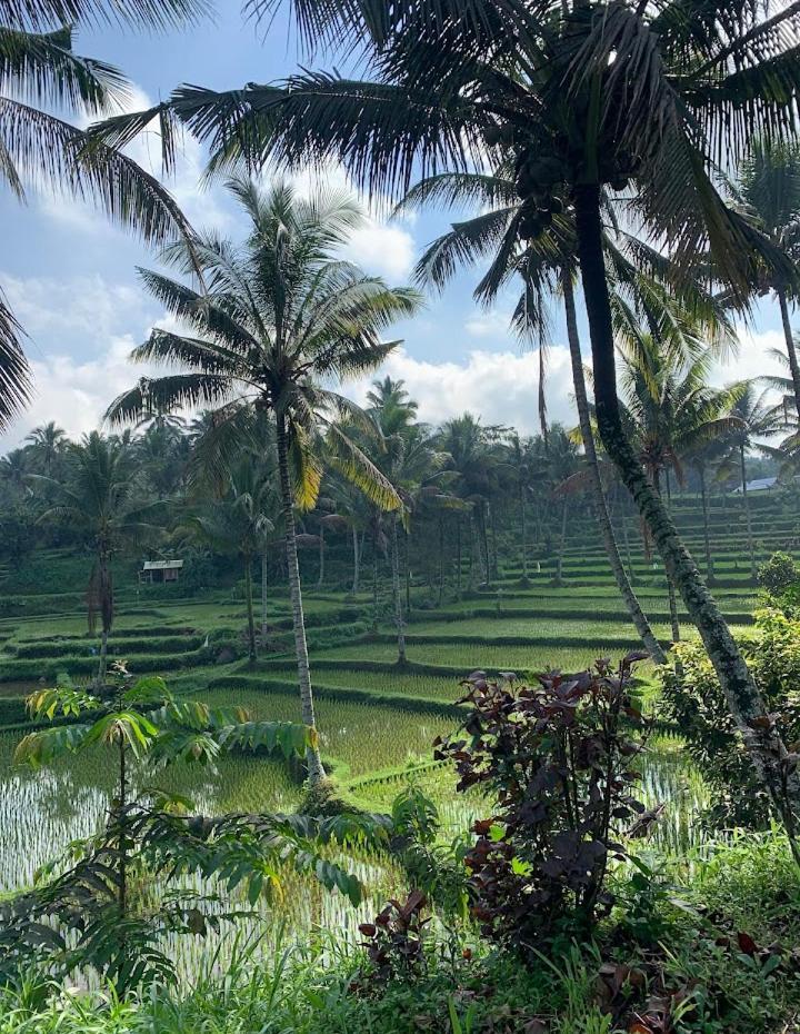 Alfarizi Homestay Tetebatu Luaran gambar