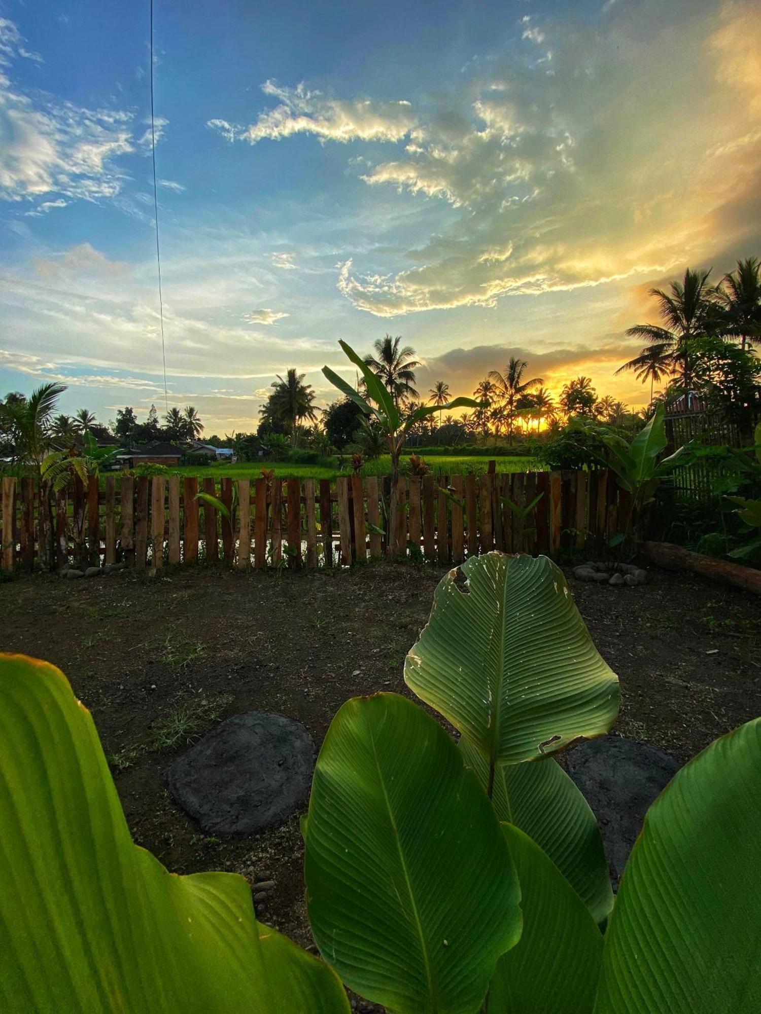 Alfarizi Homestay Tetebatu Luaran gambar