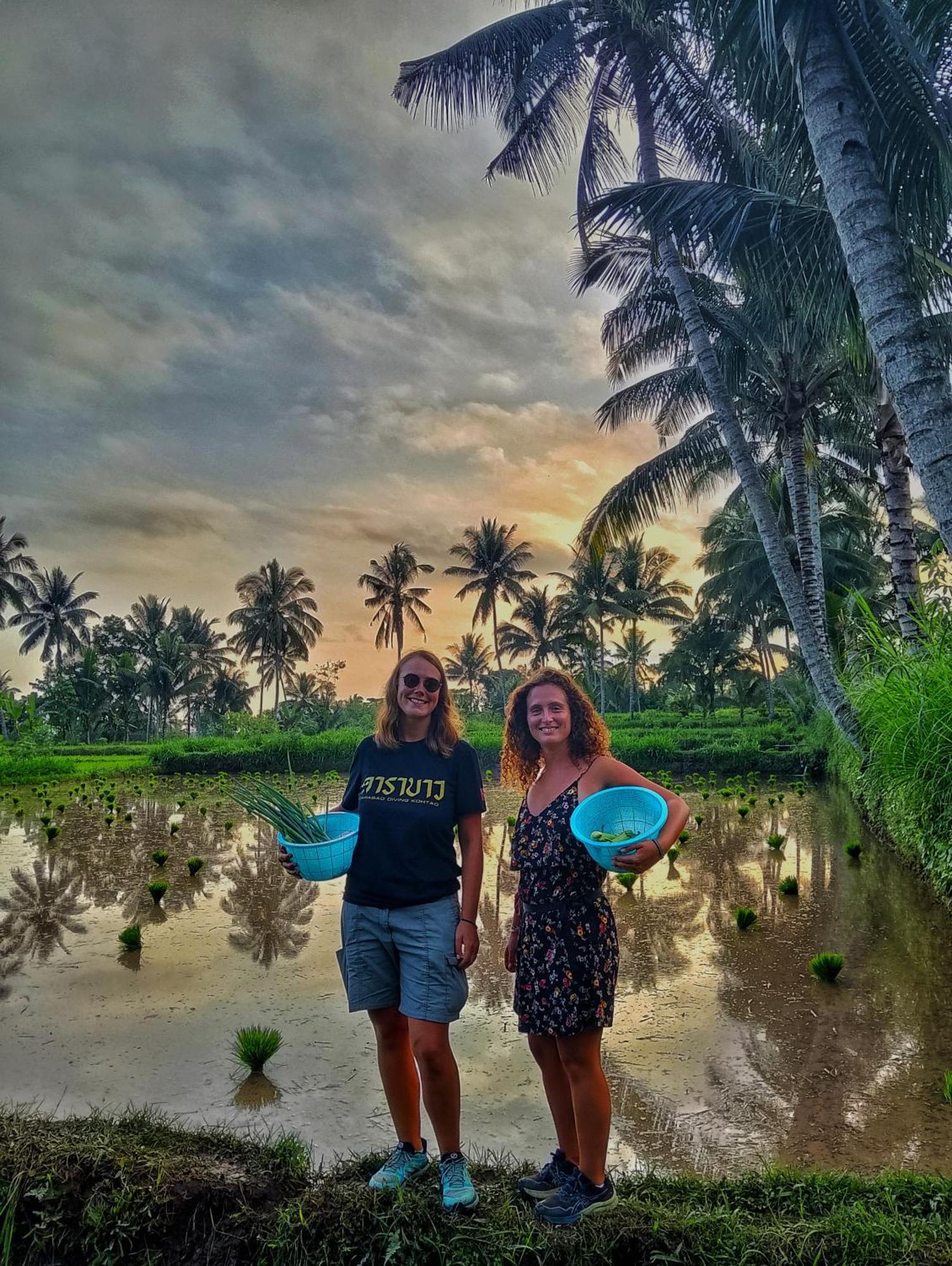 Alfarizi Homestay Tetebatu Luaran gambar