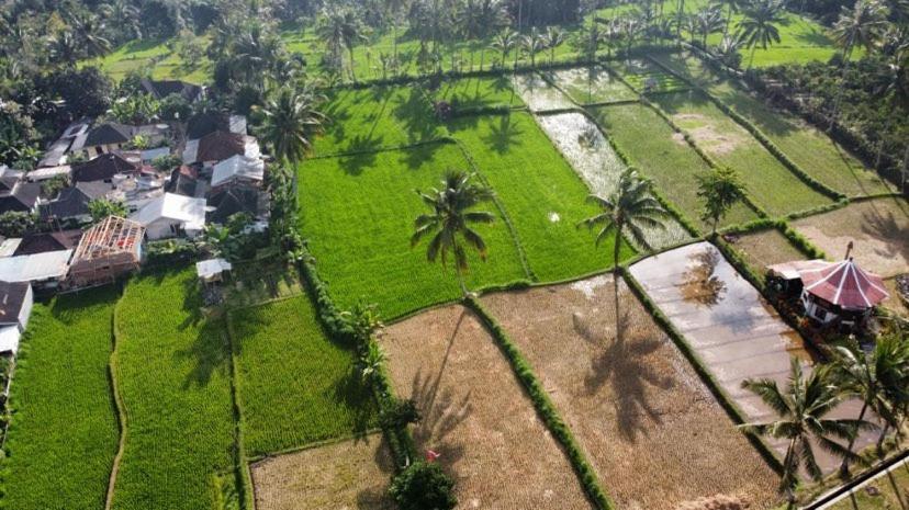 Alfarizi Homestay Tetebatu Luaran gambar